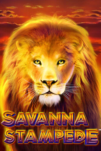Savanna Stampede бесплатная демо игра на официальном сайте Казино Вулкан