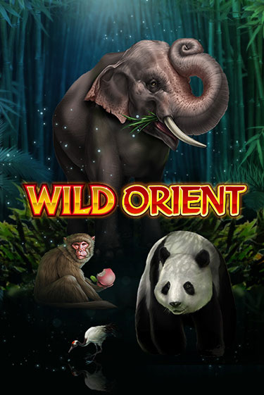 Wild Orient бесплатная демо игра на официальном сайте Казино Вулкан